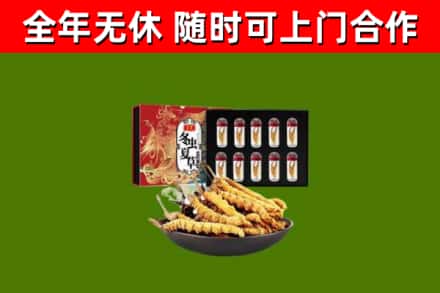宜昌回收冬虫夏草价格